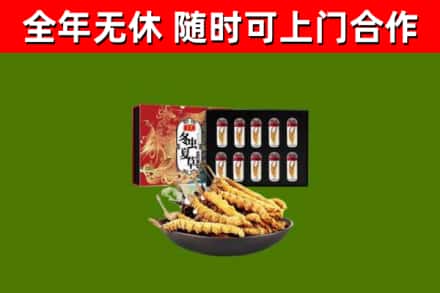 秀屿回收冬虫夏草价格